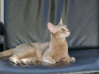 06220009.jpg (10543 Byte)