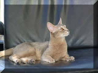 06220009.jpg (10543 Byte)