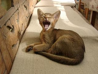 06220011.jpg (18223 Byte)