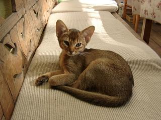 06220012.jpg (18050 Byte)