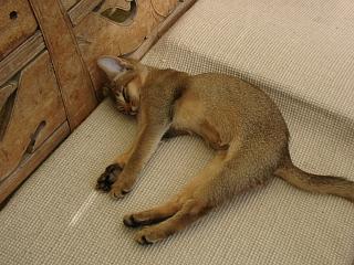 06220016.jpg (18238 Byte)