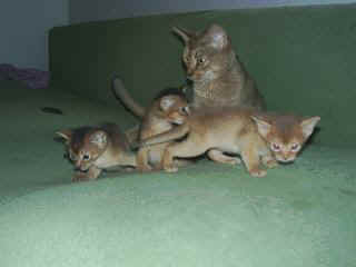 06220026.jpg (7969 Byte)