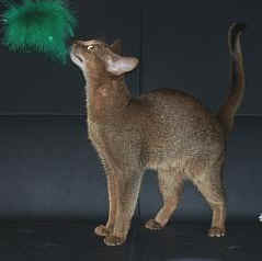 06250003.jpg (8103 Byte)