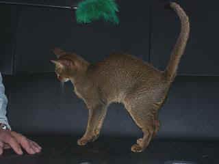 06250004.jpg (7725 Byte)