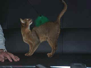 06250005.jpg (7379 Byte)