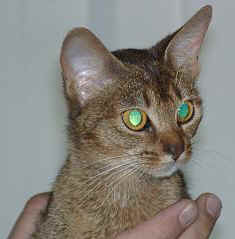 06250007.jpg (9885 Byte)