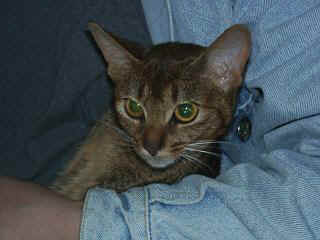 06250009.jpg (13509 Byte)