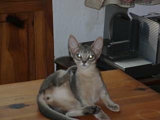 06250011.jpg (11025 Byte)