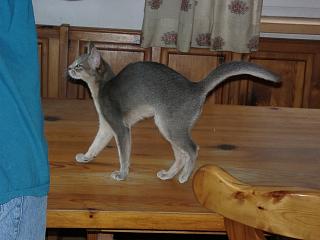 06250012.jpg (12701 Byte)