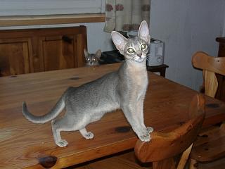 06250015.JPG (12608 Byte)