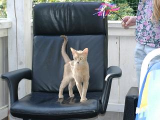 06290004.jpg (15495 Byte)