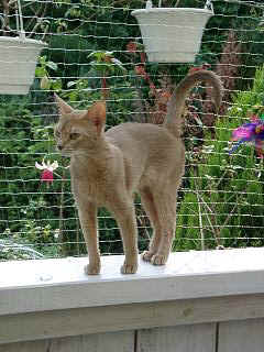 06290021.jpg (22907 Byte)