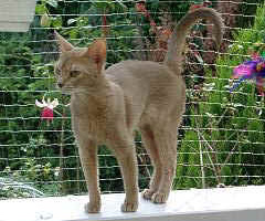 06290021_q.jpg (28440 Byte)