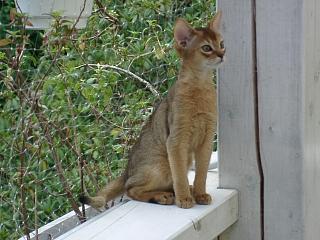 06290028.jpg (19480 Byte)