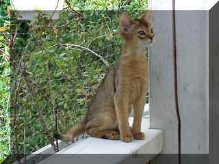 06290028.jpg (19480 Byte)