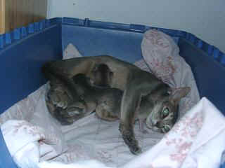 07010003.JPG (11380 Byte)