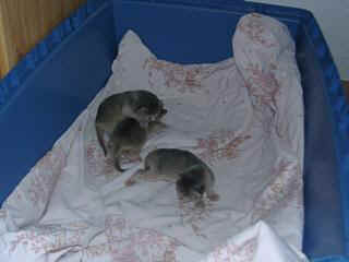 07010006.JPG (11047 Byte)