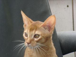 07010014.JPG (9580 Byte)