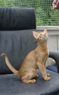 07010020.JPG (15191 Byte)