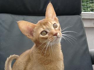 07010021.JPG (12161 Byte)