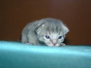 07120001.JPG (6928 Byte)