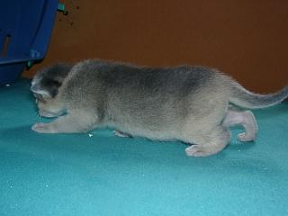 07120003.JPG (8672 Byte)