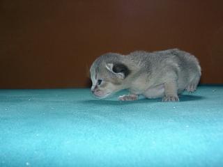 07120008.JPG (7441 Byte)