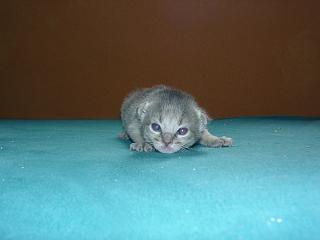 07120010.JPG (6929 Byte)