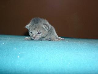 07120014.JPG (7354 Byte)