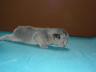 07120016.JPG (7678 Byte)