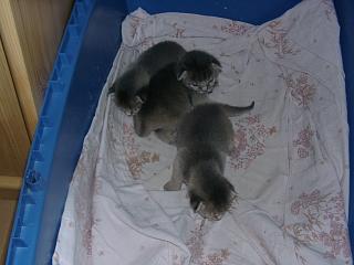 07120018.JPG (12619 Byte)