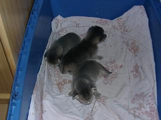 07120019.JPG (12112 Byte)