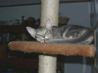 07170001.jpg (10843 Byte)