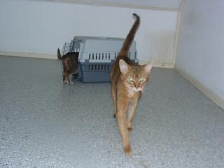 08070004.JPG (9489 Byte)