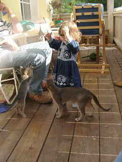 08280007.JPG (18719 Byte)