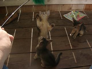 08280020.JPG (12482 Byte)