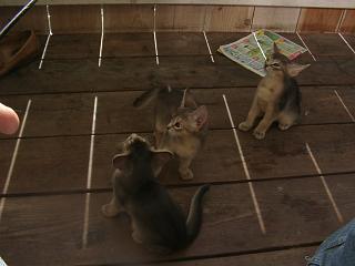 08280021.JPG (11740 Byte)