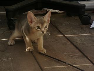 08280029.JPG (11118 Byte)