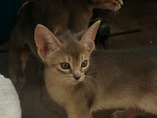 08280030.JPG (9733 Byte)