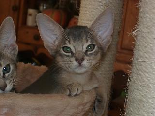 09080001.JPG (12746 Byte)