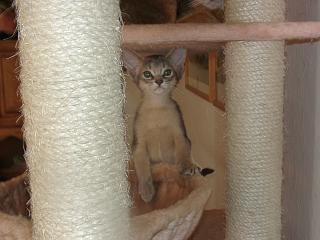 09080013.JPG (13743 Byte)