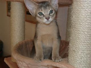 09080014.JPG (12594 Byte)