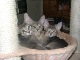 09090001.JPG (13067 Byte)