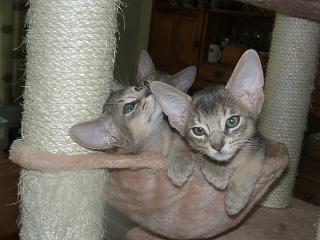 09090004.JPG (15085 Byte)