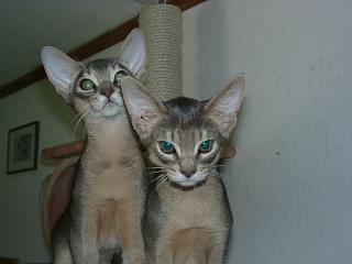 10090001.JPG (9715 Byte)