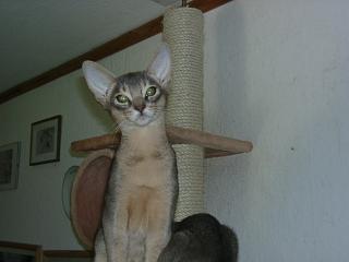 10090002.JPG (8542 Byte)