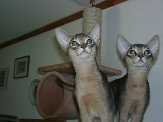 10090003.JPG (10241 Byte)