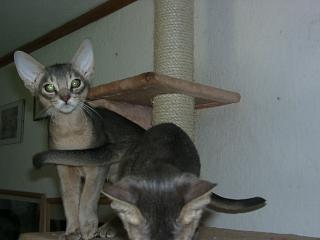 10090004.JPG (9730 Byte)