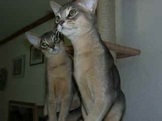 10090005.JPG (9771 Byte)