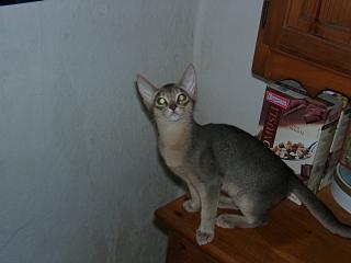 10090006.JPG (8975 Byte)